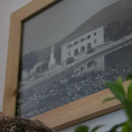 Kaktus Apartament *