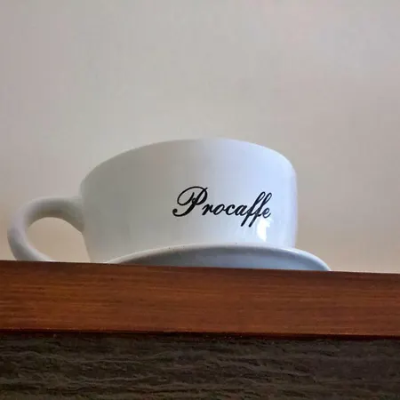 Kaktus Vinišće