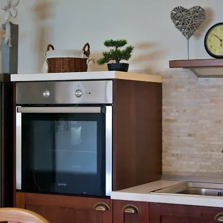 Kaktus Apartment