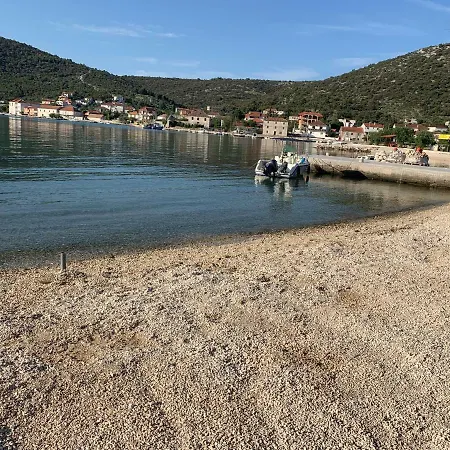 Kaktus