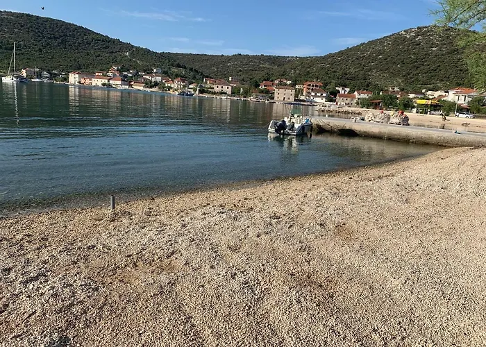 Kaktus